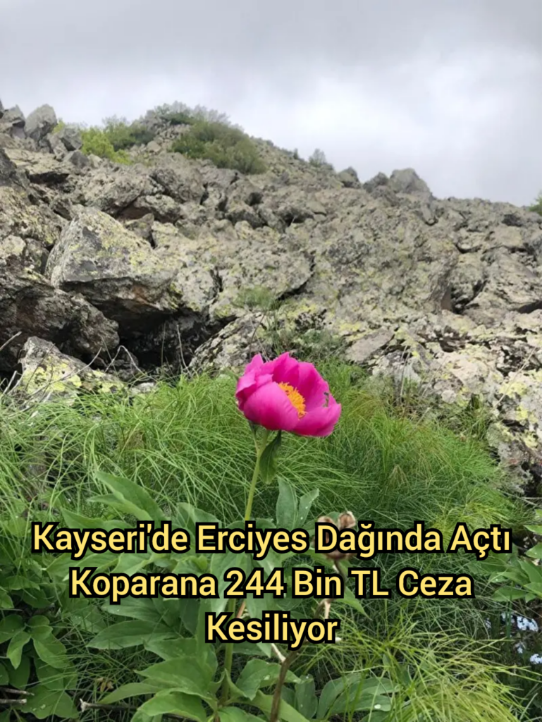 Kayseri’de Erciyes Dağında Açtı Koparana 244 Bin TL Ceza Kesiliyor