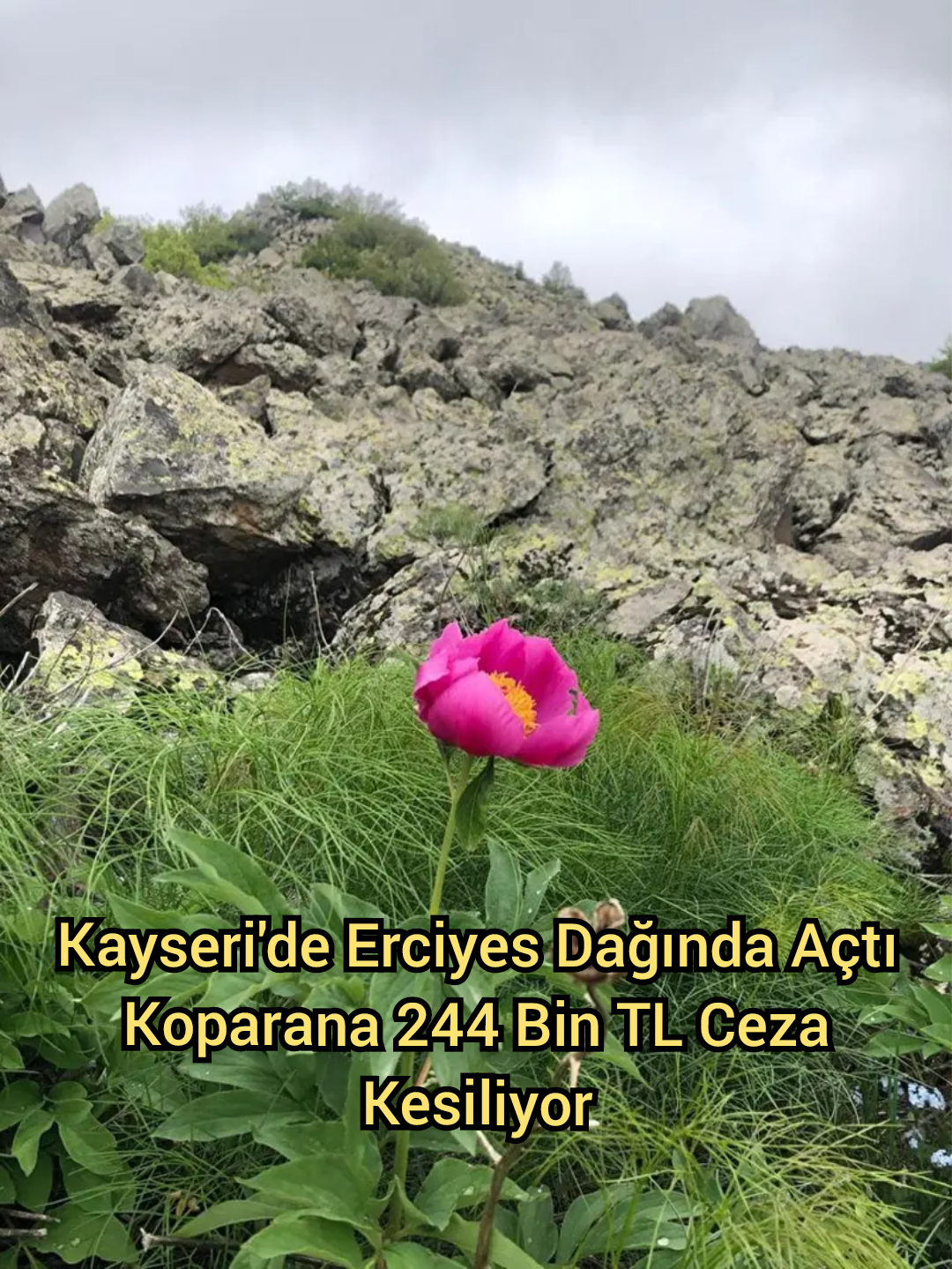 Kayseri’de Erciyes Dağında Açtı Koparana 244 Bin TL Ceza Kesiliyor