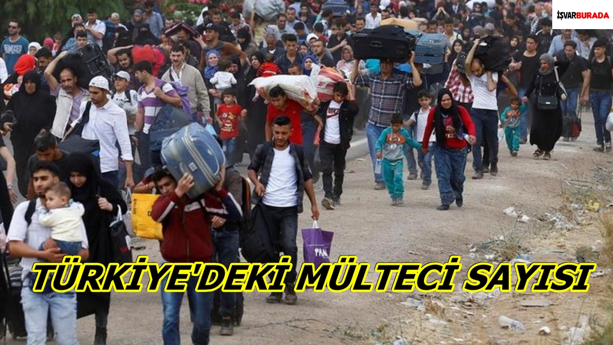 Türkiye’de İl İl Mülteci Sayısı