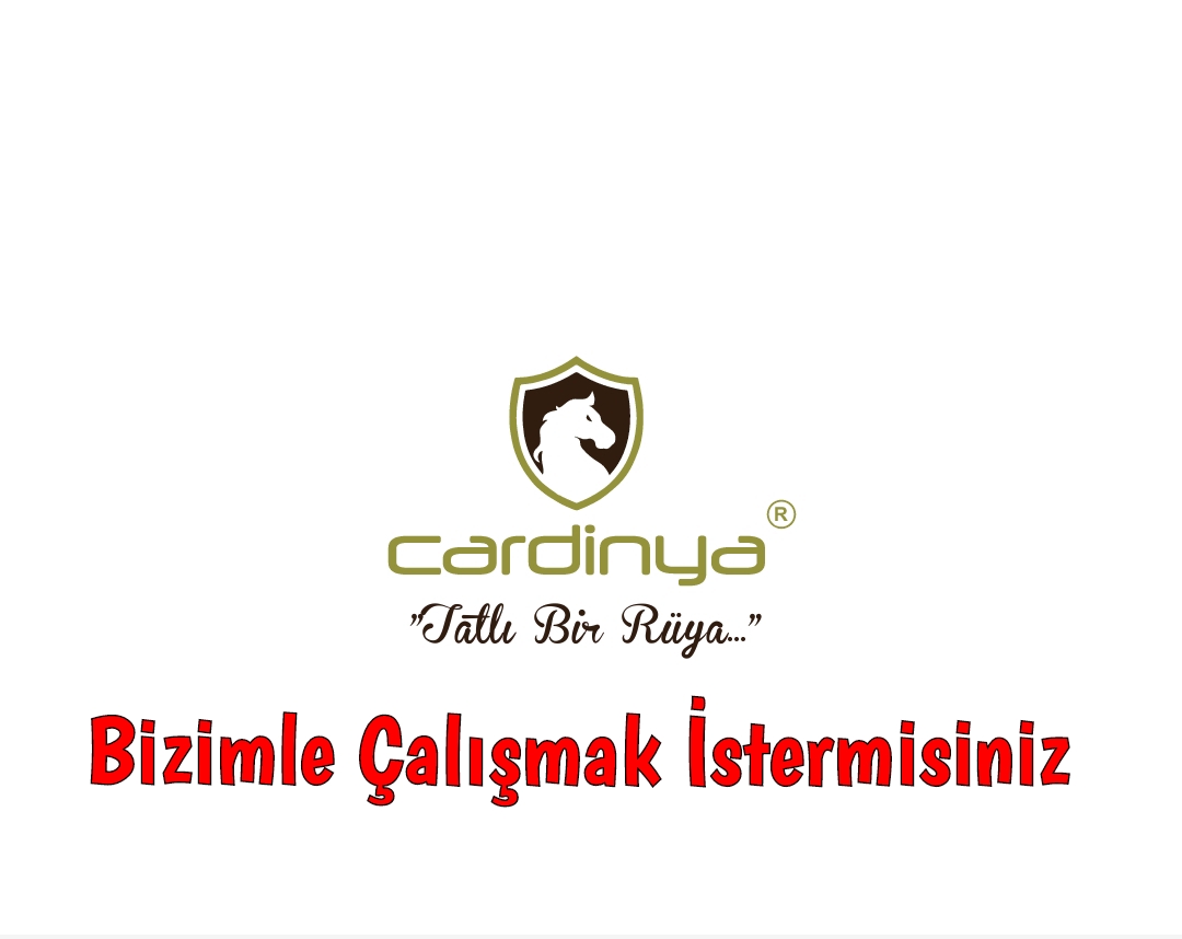 Kayseri Cardinya Yatak İşçi Alacak