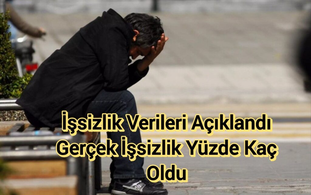 İşsizlik Verileri Açıklandı Gerçek İşsizlik Yüzde Kaç Oldu